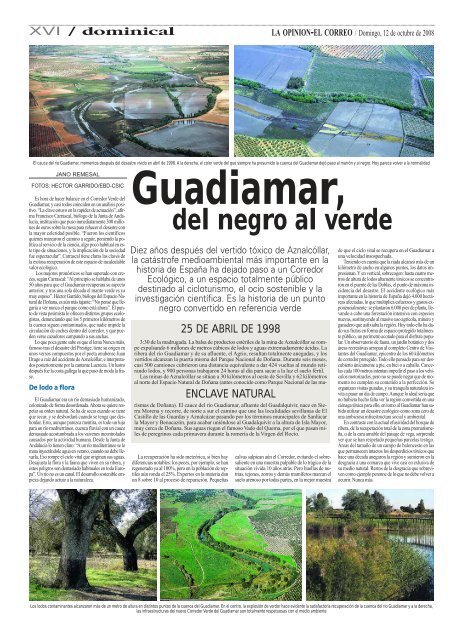 Guadiamar, - La página completa, aquí.