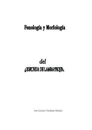 Fonologia y morfologia del quechua de Lambayeque - Lengamer.org