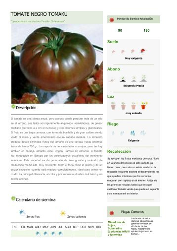 TOMATE NEGRO TOMAKU - Plenummedia