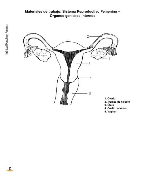 Ver el manual - Institute for Reproductive Health (IRH)