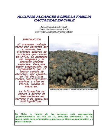 algunos alcances sobre la familia cactaceae en chile - Servicio ...