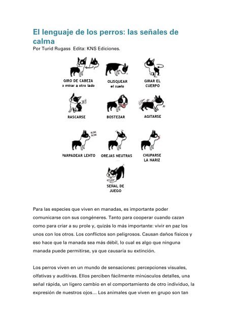 El lenguaje de los perros: las señales de calma