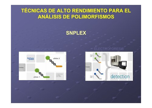 sistemas de secuenciación masiva