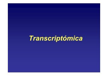 Transcriptómica - FBMC