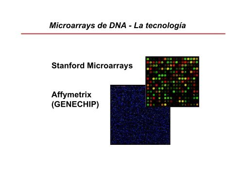 Transcriptómica - FBMC