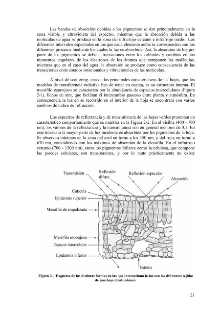 Departamento de Física Teórica, Atómica y Óptica - Quantalab ...