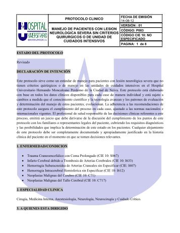 Protocolo Lesion Cerebral Severa HUHMP pdf - Instituto Nacional ...