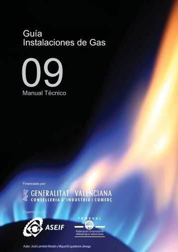 Guía Instalaciones de Gas - Femeval