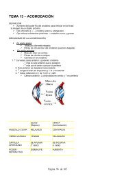 TEMA 13 - estudiando optica