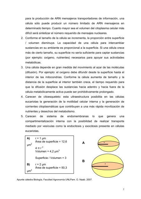 La relación superficie / volumen celular - Facultad de Agronomía