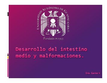 Desarrollo de intestino medio y malformaciones. - Universidad ...