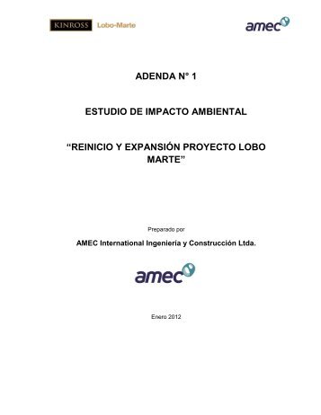 ADENDA N° 1 ESTUDIO DE IMPACTO AMBIENTAL “REINICIO Y ...