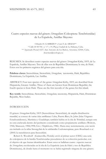 Texto/Full text (1070 kb) PDF