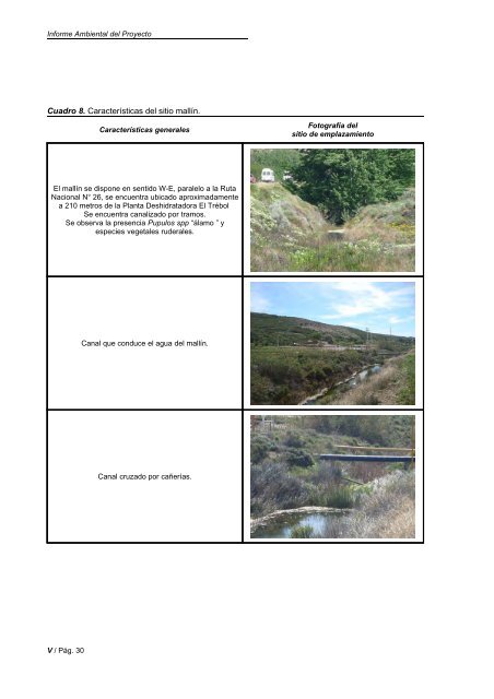 Análisis_del_ambiente - Organismos