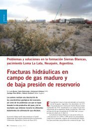 Fracturas hidráulicas en campo de gas maduro y de ... - Petrotecnia