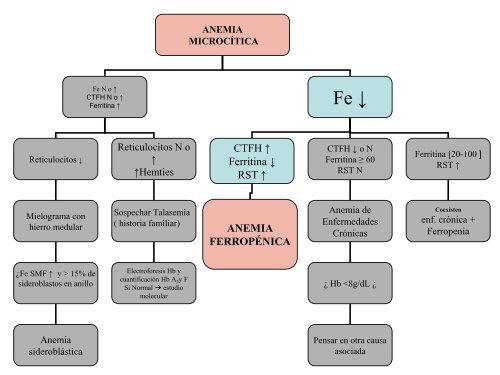 Estudio diagnóstico de la anemia - Aghh.es