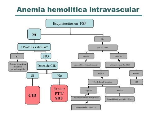 Estudio diagnóstico de la anemia - Aghh.es