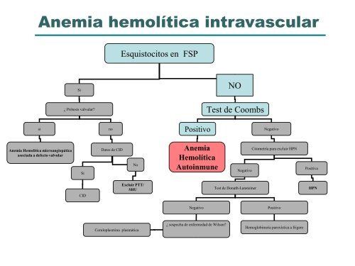 Estudio diagnóstico de la anemia - Aghh.es