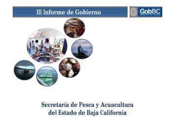 Glosa SEPESCA. - Secretaría de Pesca y Acuacultura