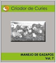 pasos para destetar gazapos - Biblioteca Sena