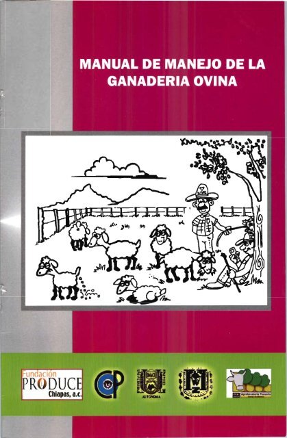 Manual De Manejo De La Ganadería Ovina - COFUPRO