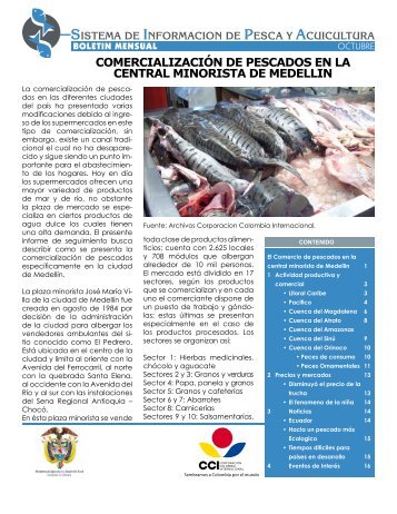 COMERCIALIZACIÓN DE PESCADOS EN LA CENTRAL ...