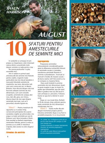 10 Sfaturi pentru amestecurile de seminte mici - Quest Baits