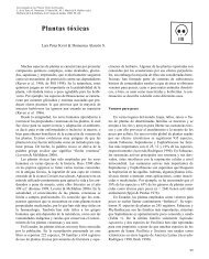 Enciclopedia de las Plantas Útiles del Ecuador