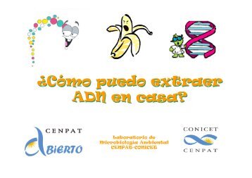 Extracción de ADN.pdf