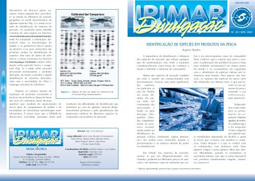 IDENTIFICAÇÃO DE ESPÉCIES EM PRODUTOS DA PESCA - INRB