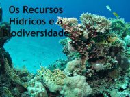 Os Recursos Hídricos e a Biodiversidade - SNIRH