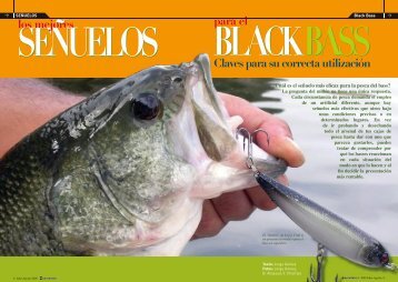 Los Mejores Señuelos para el Bass - Lunker Angler