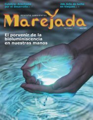 El porvenir de la bioluminiscencia en nuestras manos - Puerto Rico ...