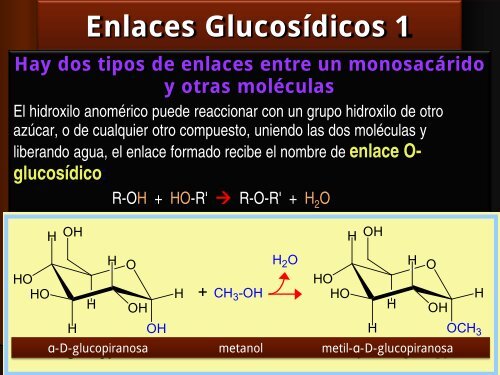 BIOPOLÍMEROS