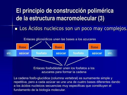 BIOPOLÍMEROS