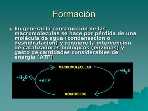 BIOPOLÍMEROS