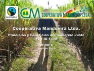 Cooperativa Manduvirá - Rediex