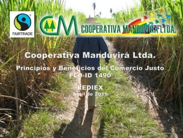 Cooperativa Manduvirá - Rediex