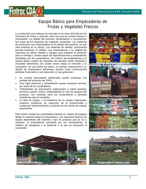 Equipo Básico para Empacadoras de Frutas y Vegetales - Fintrac Inc.