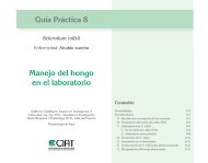 Guía Práctica 8: Sclerotium rolfsii - Enfermedad: Añublo sureño - CIAT