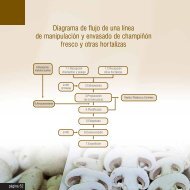 Ejemplo Diagrama de Flujo y Peligros Champiñones