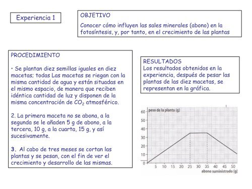 Factores que influyen en la fotosíntesis - IES Izpisúa Belmonte