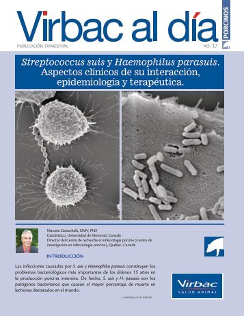 Streptococcus suis y Haemophilus parasuis ... - Web Veterinaria