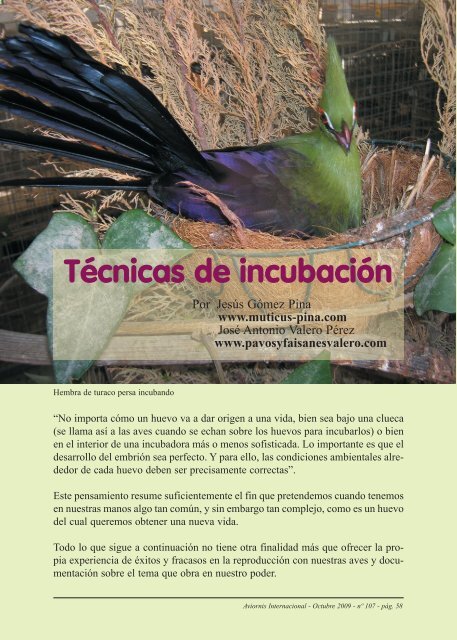 Técnicas de incubación