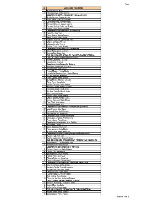 nomina del personal - regimen cas