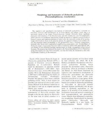 Morphology and Systematics of Holmsella pachyderma - Suzanne ...