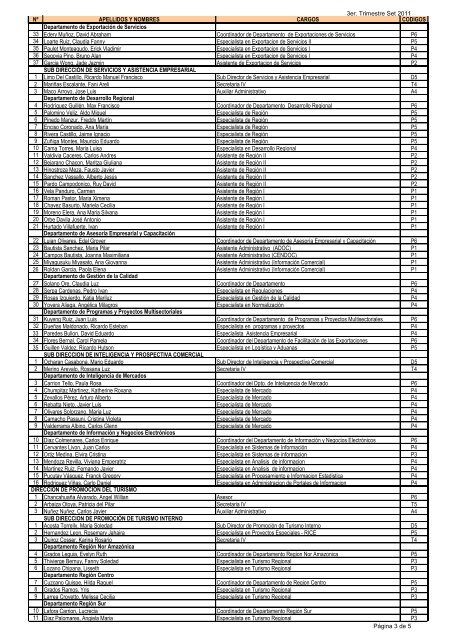 nomina del personal - regimen cas