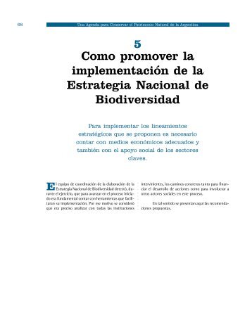 # Como promover la implementación de la Estrategia ... - Fucema