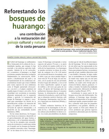 Reforestando los bosques de huarango: una contribución ... - A Rocha