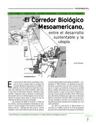 El Corredor Biológico Mesoamericano, - El Colegio de la Frontera Sur